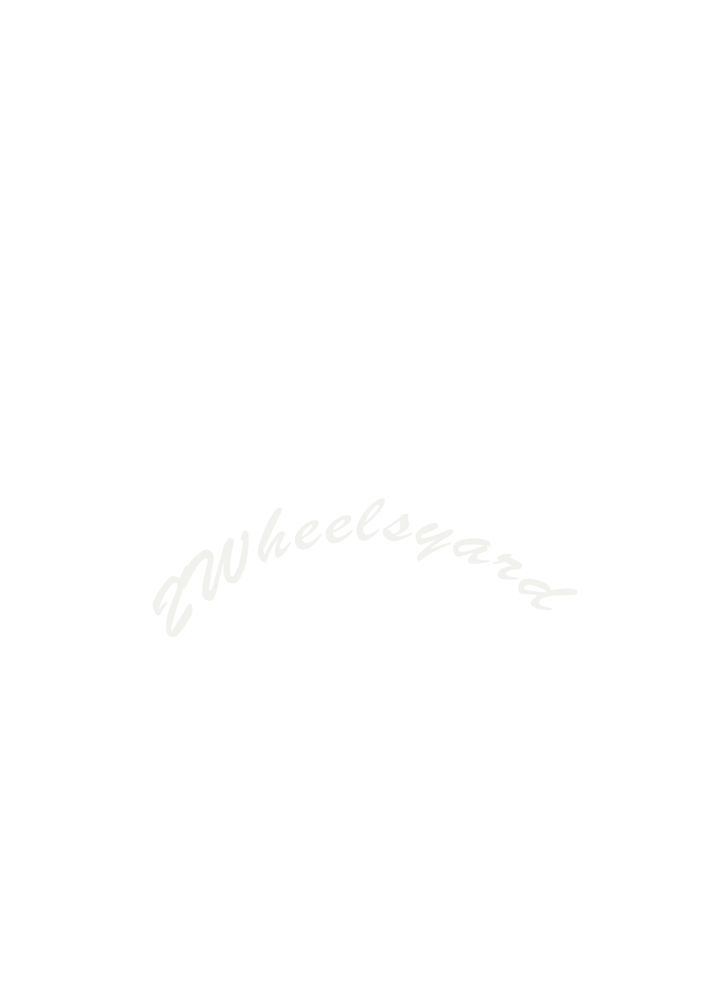 Logotipo 2Wheelsyard